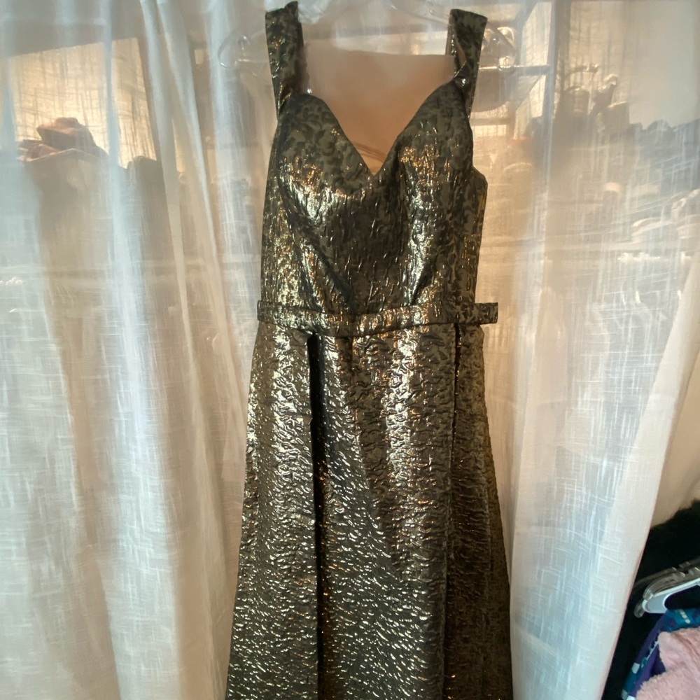 Ball Gown (Plus Size)